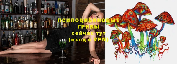 экстази Арсеньев