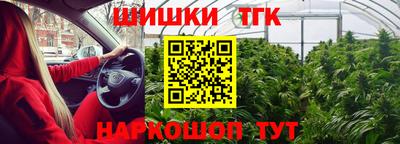 дурь Заводоуковск