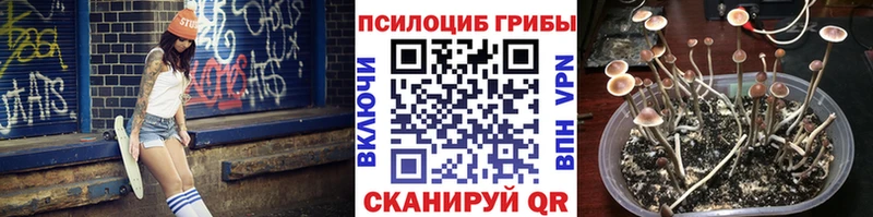 Псилоцибиновые грибы GOLDEN TEACHER  Лянтор 
