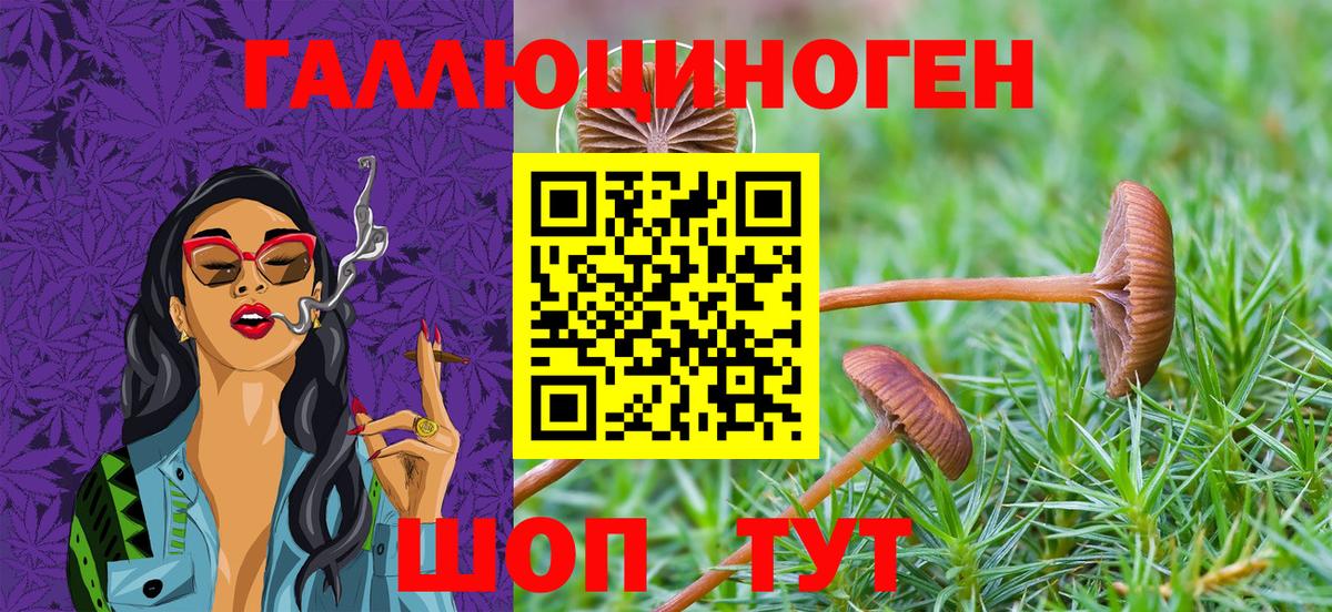 Галлюциногенные грибы Psilocybe Лянтор